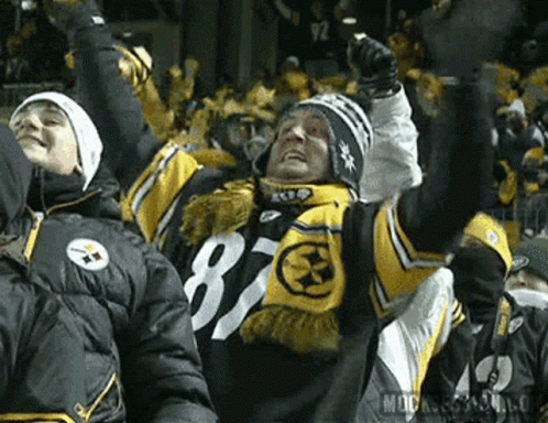 Man In Pittsburgh Steelers Jersey Cheering GIF