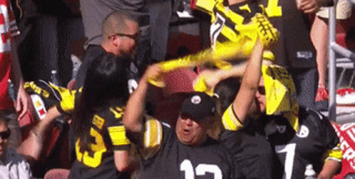 Man In Pittsburgh Steelers Jersey Holding Yellow Flag GIF