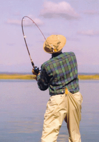Man in Plaid Shirt and Hat Fishing