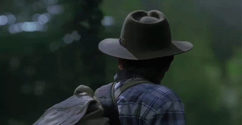 Man In Plaid Shirt And Hat Walking In Forest With Dinosaurs GIF