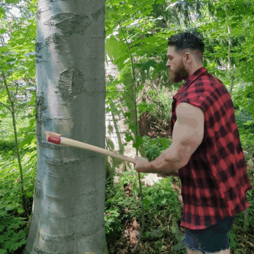 Man In Plaid Shirt Holding Axe GIF