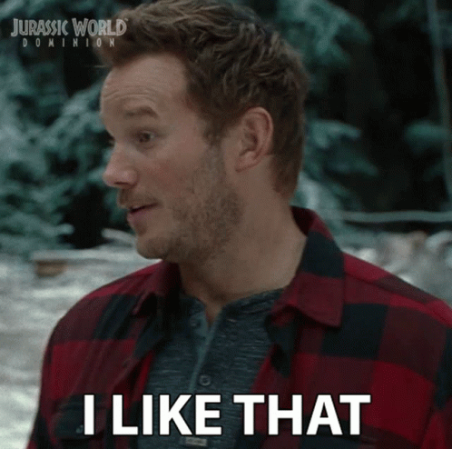 Man in Plaid Shirt Says I Like That