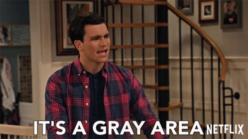 Man In Plaid Shirt Says It's A Gray Area On Netflix GIF