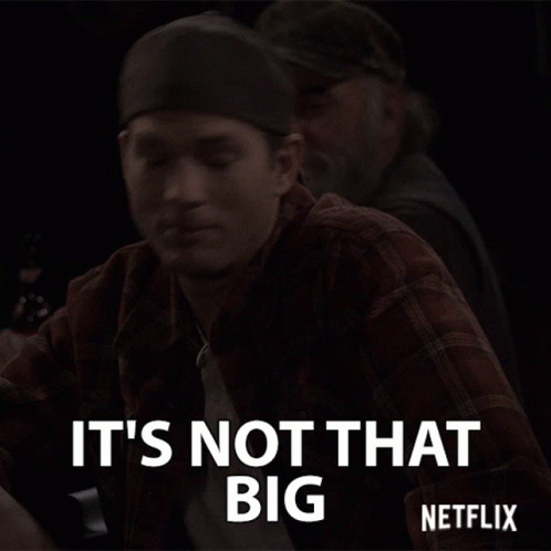 Man in Plaid Shirt Says It's Not That Big Netflix