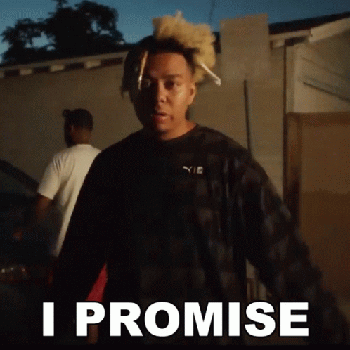 Man In Plaid Shirt Standing Before Sign Saying I Promise GIF