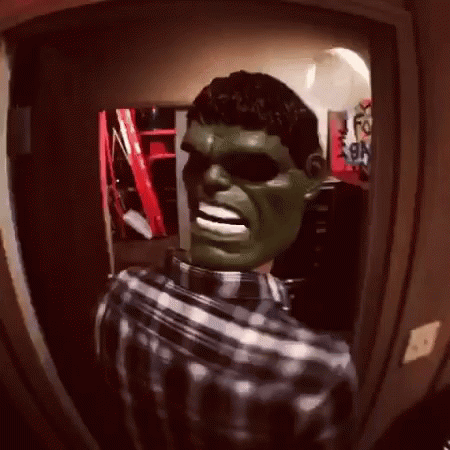 Man in Plaid Shirt Wearing Hulk Mask and Sunglasses