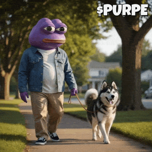 Man In Purple Frog Costume Walking Husky GIF