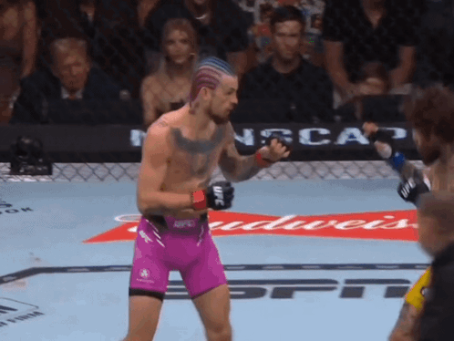 Man in Purple Shorts in Boxing Ring with Budweiser Ad