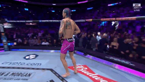 Man in Purple Shorts in Boxing Ring With Budweiser Banner