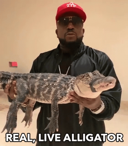 Man in Red Hat Holding Alligator Saying Real Live Alligator