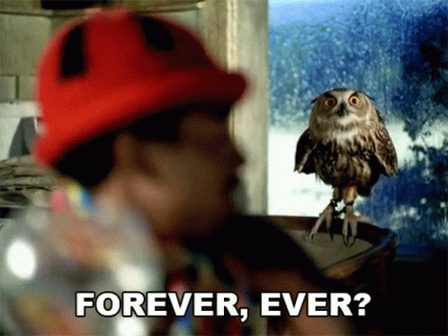 Man in Red Hat Next to Owl With Forever Ever