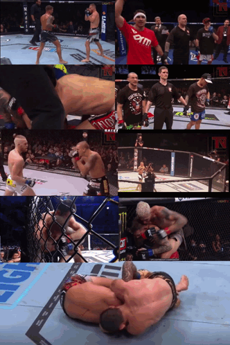 Man In Red Shirt Saying UFC Boxing Ring GIF
