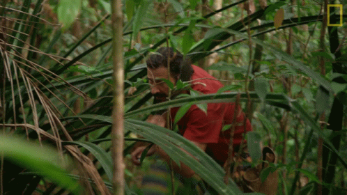 Man In Red Shirt Standing In Jungle GIF