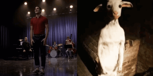 Man in Red Shirt Standing Next to White Goat