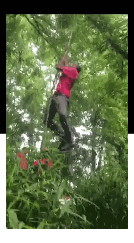 Man in Red Shirt Standing on Tree Branch