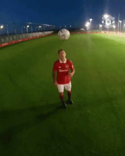 Man in Red Shirt with TeamViewer
