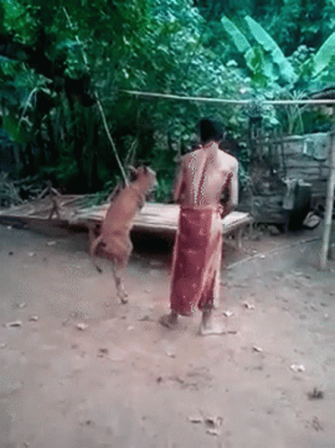 Man in Red Skirt Standing Next to Jumping Dog