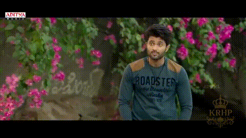 Man In Roadster Shirt With Pink Flowers GIF