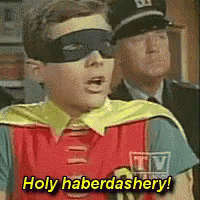 Man In Robin Costume Says Holy Haberdashery To Police Officer GIF