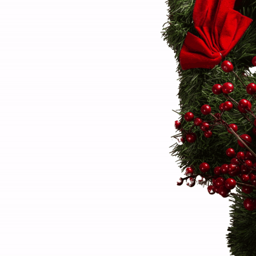 Man in Santa Claus Costume Magical Christmas Special