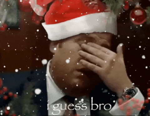 Man in Santa Hat Covering Face Saying I Guess Bro