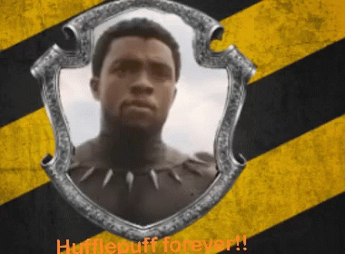 Man in Shield Hufflepuff Forever