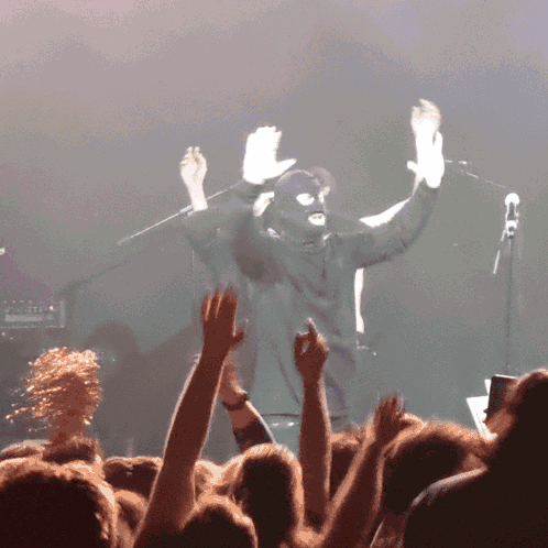 Man in Ski Mask in Front of Crowd