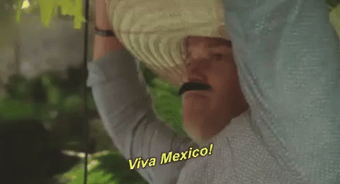 Man in Sombrero Saying Viva Mexico