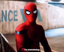 Man in Spiderman Costume in Front of Wall