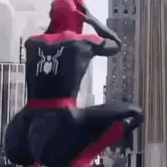 Man in Spiderman Costume