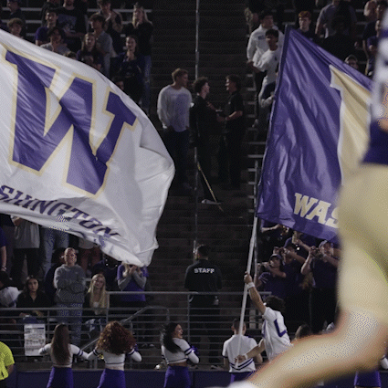 Man in Staff Uniform Holding Washington Flag