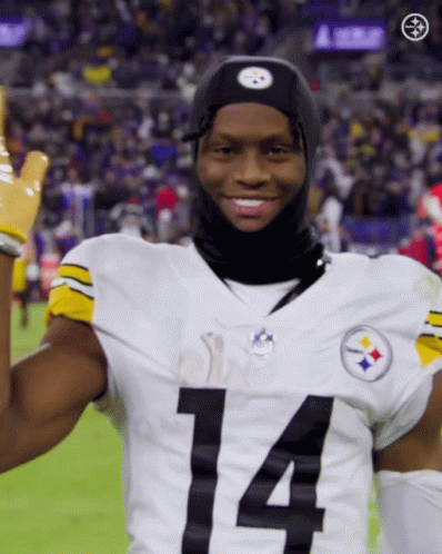 Man In Steelers Jersey Number 14 GIF