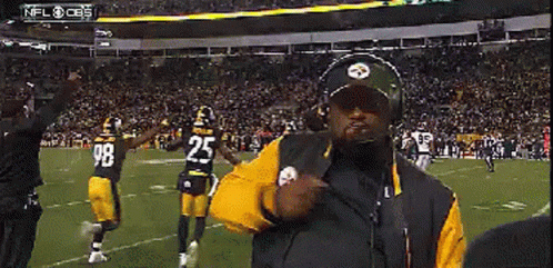 Man in Steelers Uniform on Football Field