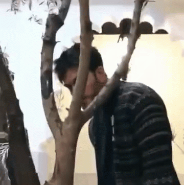 Man In Suit And Tie Giving Speech GIF
