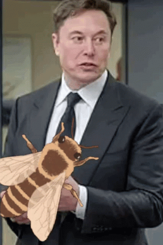 Man in Suit and Tie Holding Bee