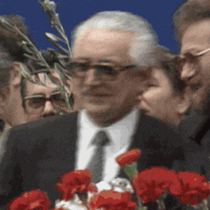 Man in Suit and Tie in Front of Red Flowers