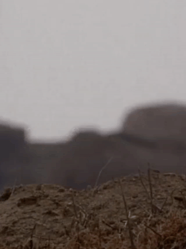 Man In Suit And Tie Standing In Dirt GIF