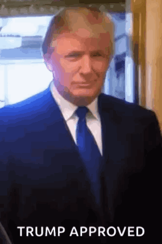 Man In Suit And Tie Trump Approved GIF