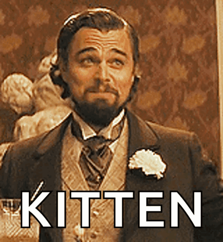 Man in Suit and Tie With Kitten