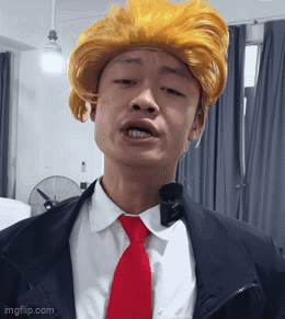 Man in Suit and Tie with Trump Wig