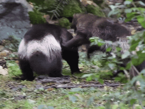 Man In Suit Giving Thumbs Up Says Southern Men Stay Sexy GIF