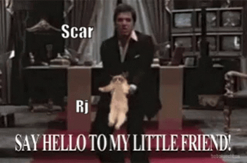 Man in Suit Holding Cat Says Hello Little Friend