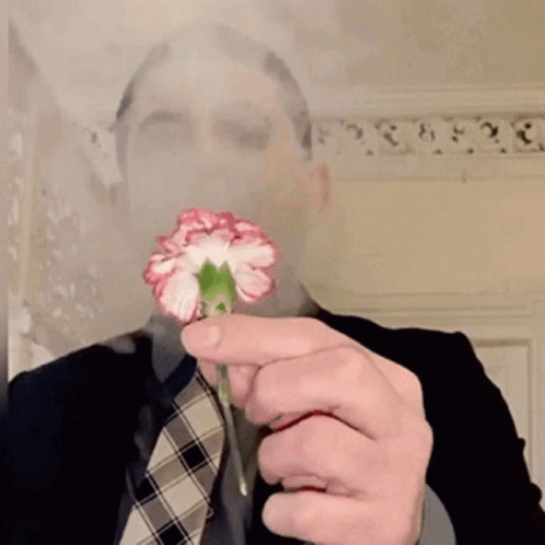 Man In Suit Holding Pink Flower In Front Of Face GIF