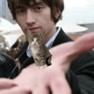 Man in Suit Holding Small Cat