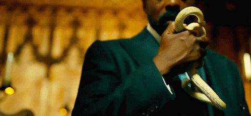 Man In Suit Holding Snake GIF