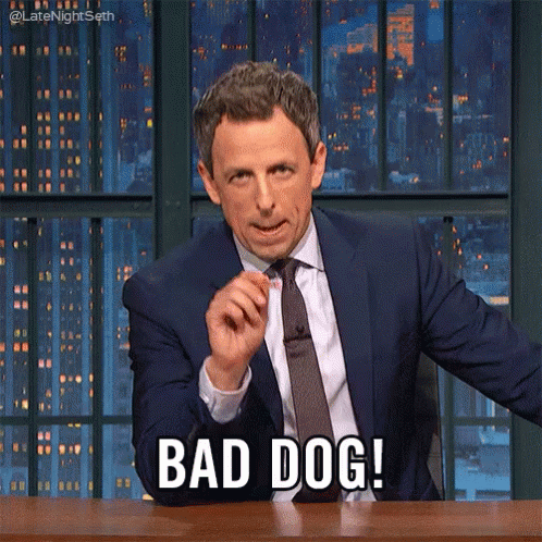 Man in Suit Saying Bad Dog