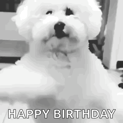 Man in Suit Saying Happy Birthday You Shinning Star