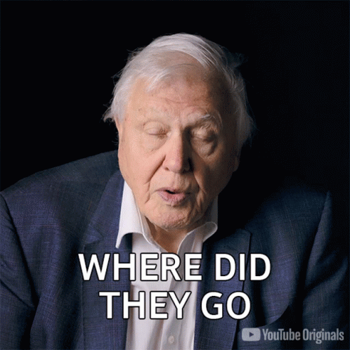 Man in Suit Says Where Did They Go YouTube Originals