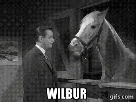 Man In Suit Standing Next To White Horse GIF