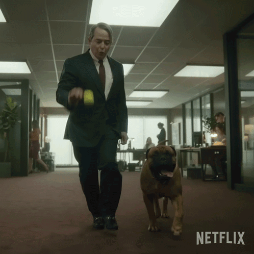Man in Suit Walking Dog With Netflix Logo